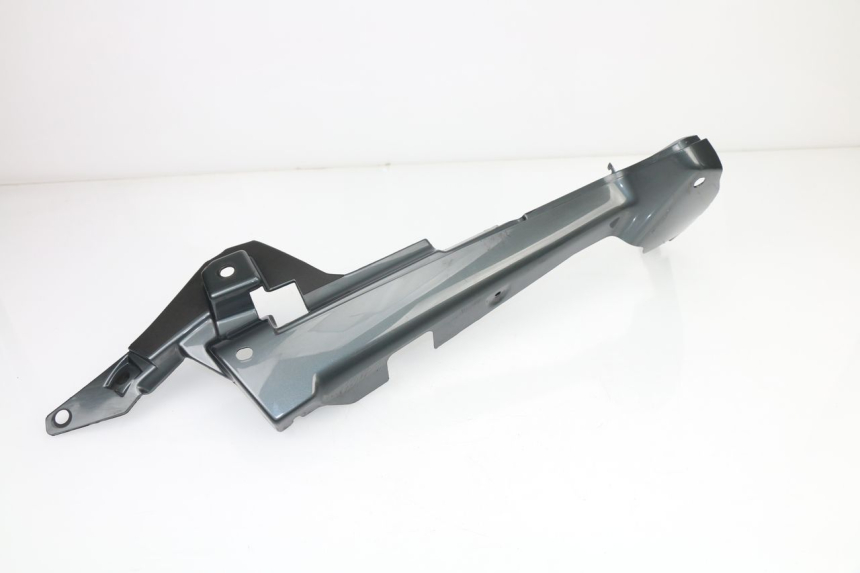 photo de FLANC ARRIERE GAUCHE BMW R RT ABS 1150 (2000 - 2004)