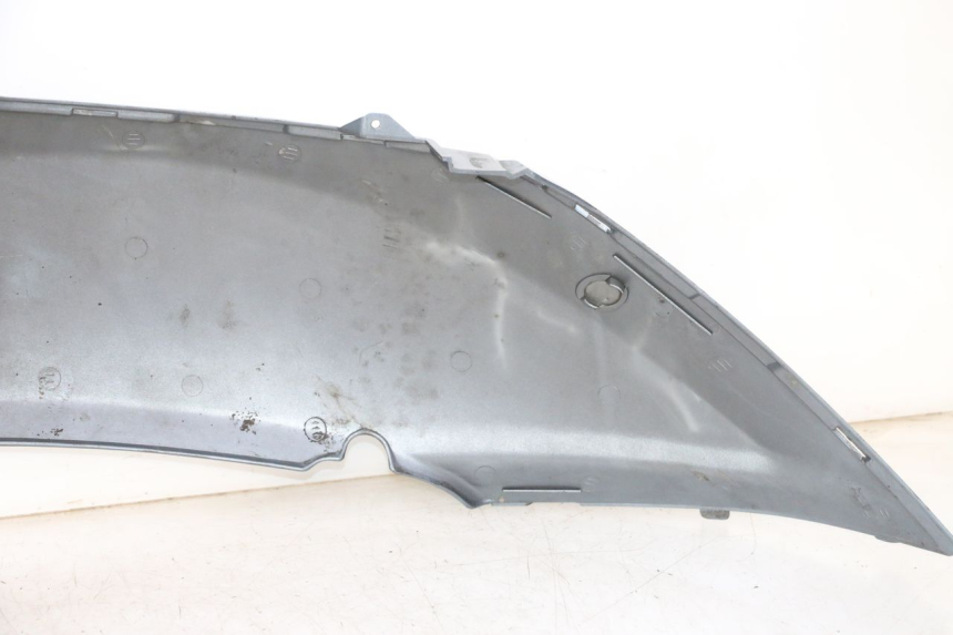 photo de FLANC ARRIERE GAUCHE DAELIM HISTORY 125 (2001 - 2002)