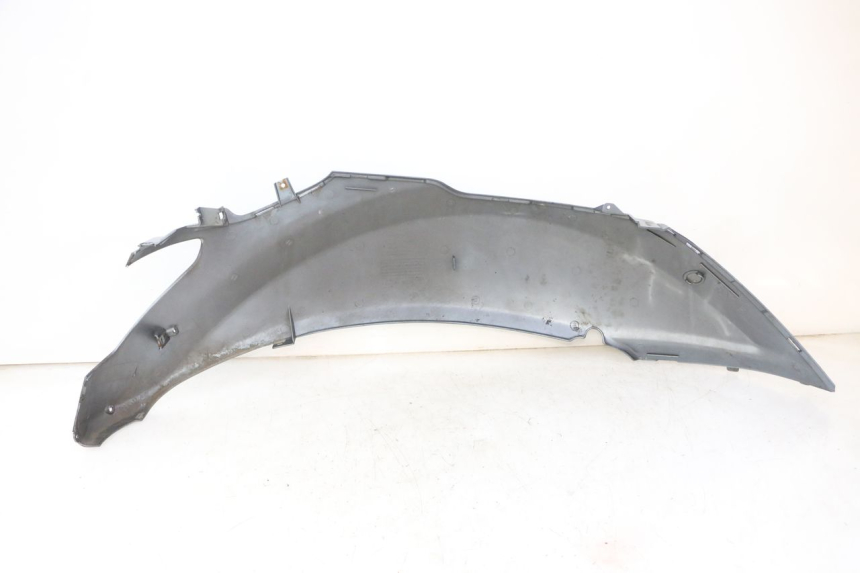 photo de FLANC ARRIERE GAUCHE DAELIM HISTORY 125 (2001 - 2002)