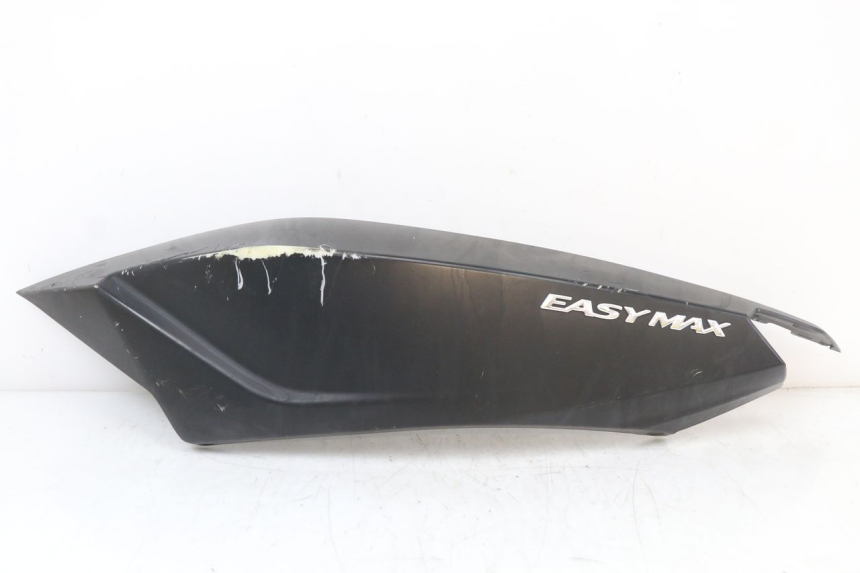 photo de FLANC ARRIERE GAUCHE LONGJIA EASY MAX 125 (2020 - 2024)