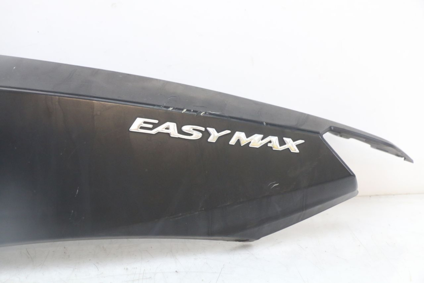 photo de FLANC ARRIERE GAUCHE LONGJIA EASY MAX 125 (2020 - 2024)