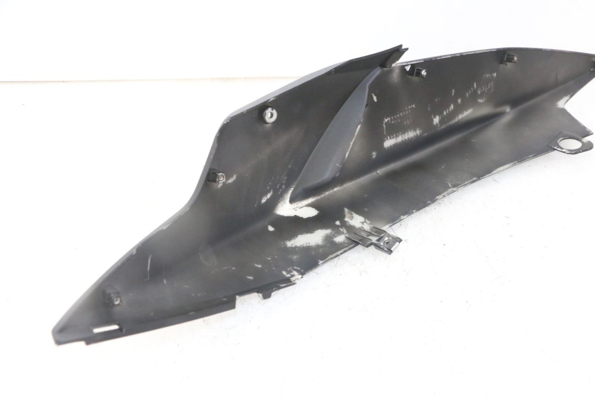 photo de FLANC ARRIERE GAUCHE PIAGGIO NEW TYPHOON 50 (2018 - 2021)
