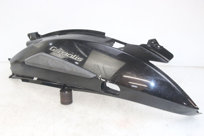 photo de FLANC ARRIERE GAUCHE PEUGEOT GEOPOLIS RS 125 (2007 - 2009)