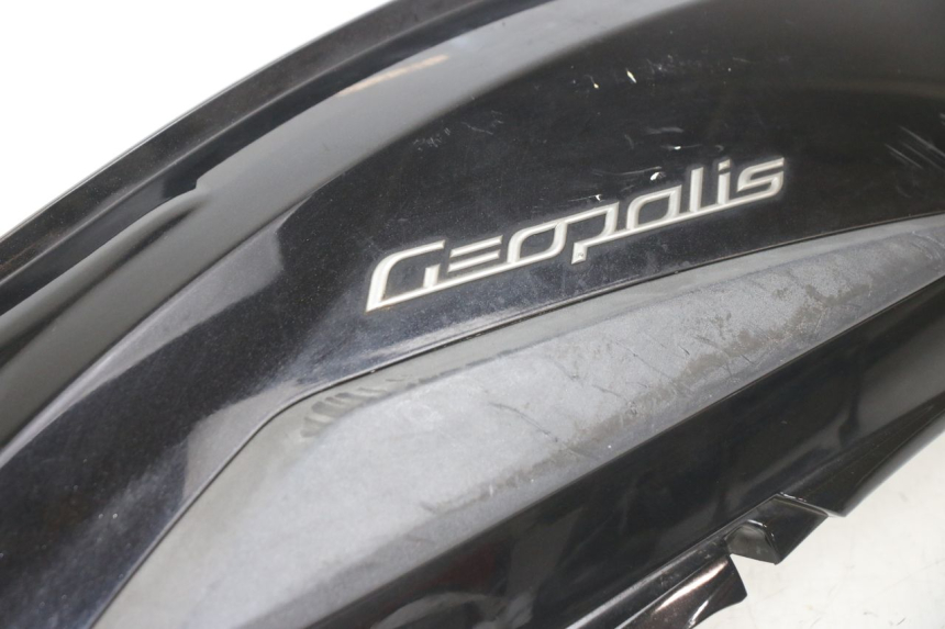 photo de FLANC ARRIERE GAUCHE PEUGEOT GEOPOLIS RS 125 (2007 - 2009)