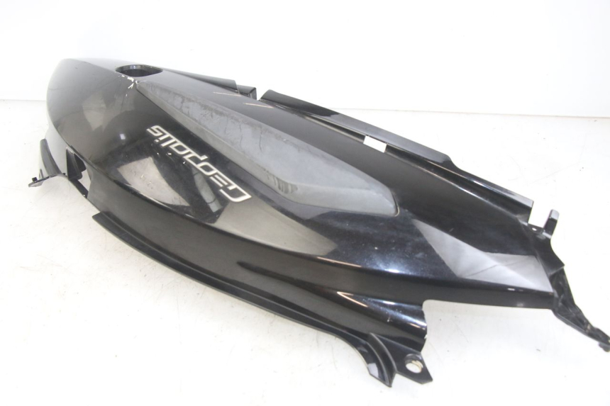 photo de FLANC ARRIERE GAUCHE PEUGEOT GEOPOLIS RS 125 (2007 - 2009)