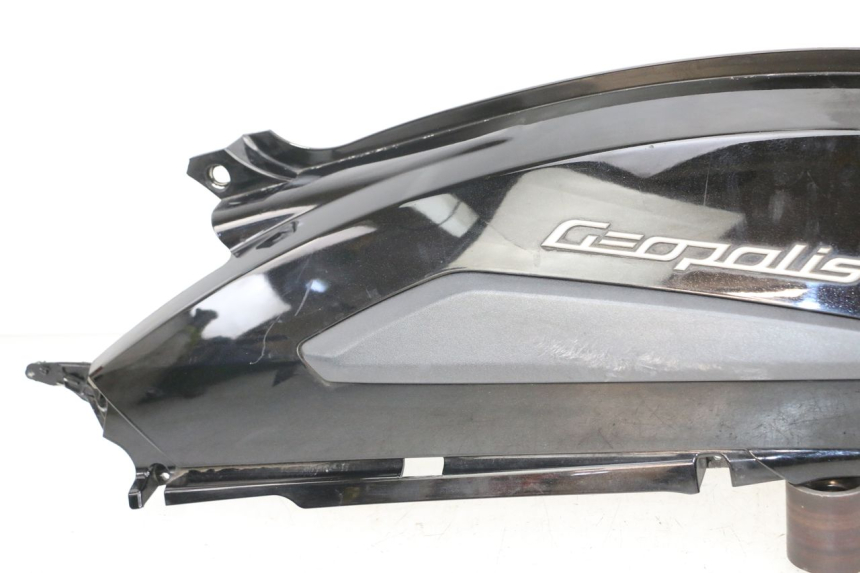 photo de FLANC ARRIERE GAUCHE PEUGEOT GEOPOLIS RS 125 (2007 - 2009)