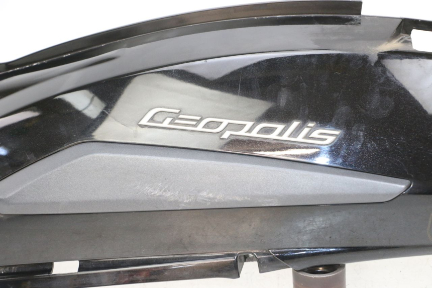 photo de FLANC ARRIERE GAUCHE PEUGEOT GEOPOLIS RS 125 (2007 - 2009)