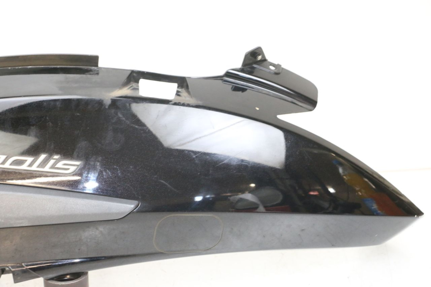 photo de FLANC ARRIERE GAUCHE PEUGEOT GEOPOLIS RS 125 (2007 - 2009)
