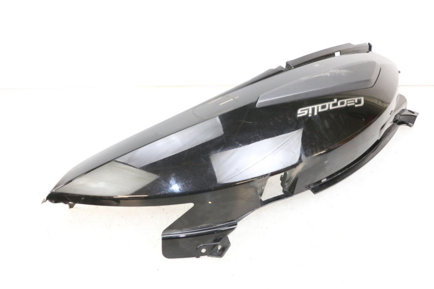 photo de FLANC ARRIERE GAUCHE PEUGEOT GEOPOLIS RS 125 (2007 - 2009)