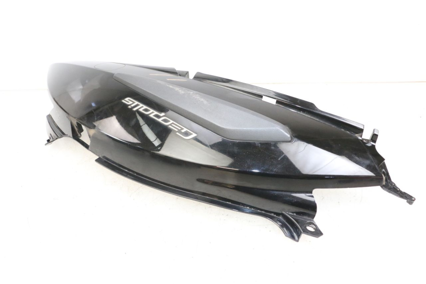 photo de FLANC ARRIERE GAUCHE PEUGEOT GEOPOLIS RS 125 (2007 - 2009)