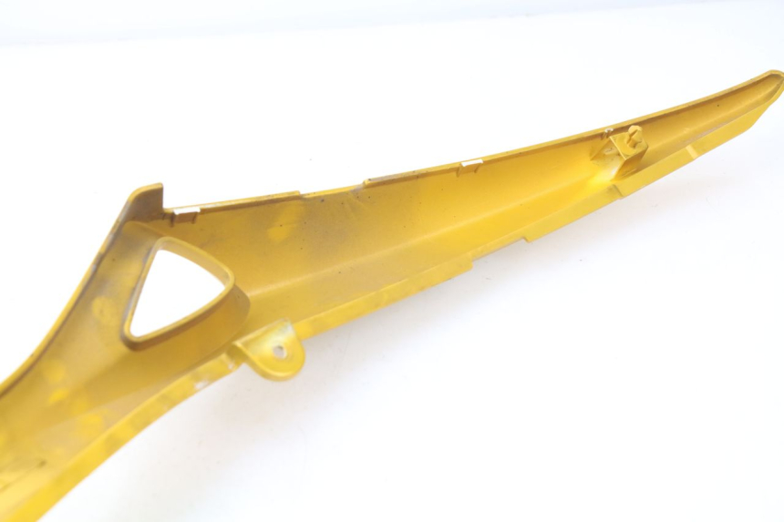 photo de FLANC ARRIERE GAUCHE TRIUMPH SPEED TRIPLE 1050 (2005 - 2007) - Détail de la pièce