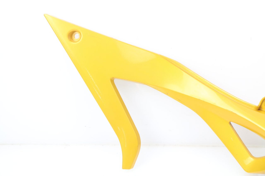 photo de FLANC ARRIERE GAUCHE TRIUMPH SPEED TRIPLE 1050 (2005 - 2007) - Vue produit