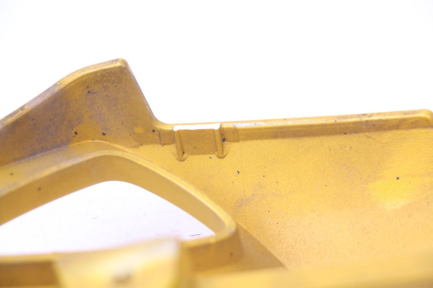 photo de FLANC ARRIERE GAUCHE TRIUMPH SPEED TRIPLE 1050 (2005 - 2007) - Autre angle de vue