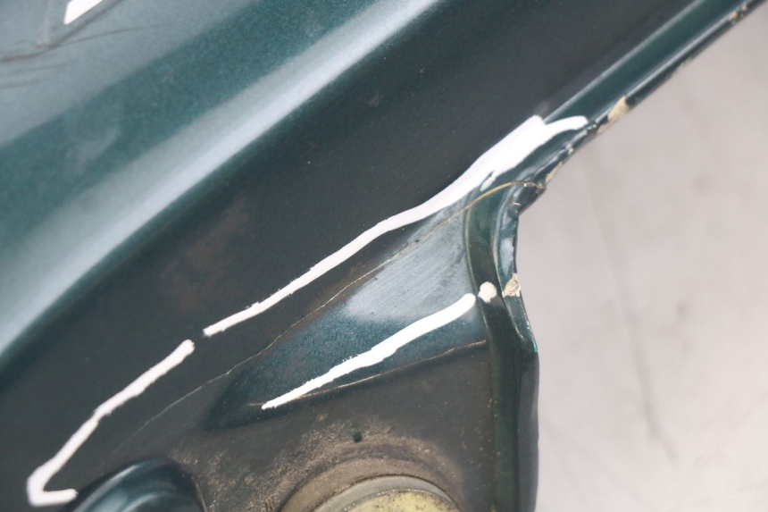 photo de FLANC ARRIERE GAUCHE TRIUMPH SPRINT ST 955 (1999 - 2001)