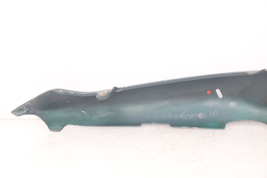 photo de FLANC ARRIERE GAUCHE TRIUMPH SPRINT ST 955 (1999 - 2001)
