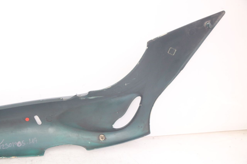 photo de FLANC ARRIERE GAUCHE TRIUMPH SPRINT ST 955 (1999 - 2001)