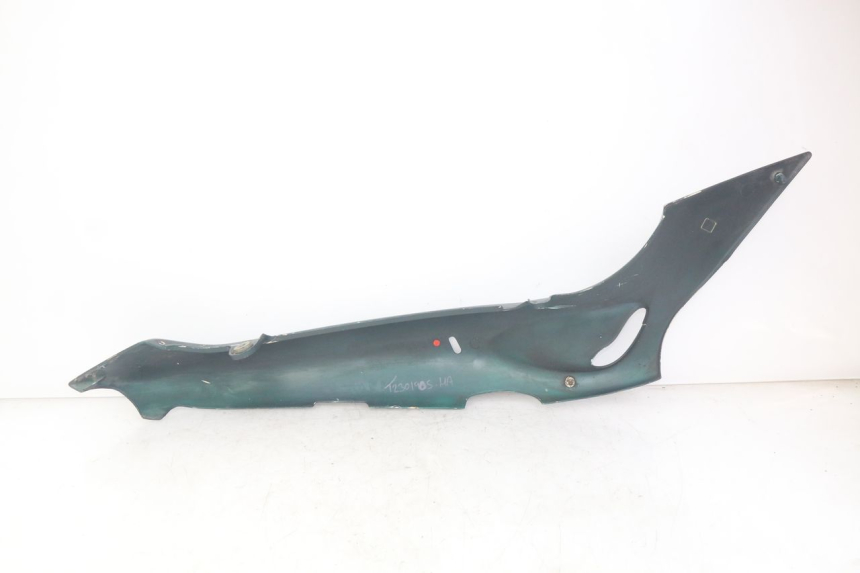 photo de FLANC ARRIERE GAUCHE TRIUMPH SPRINT ST 955 (1999 - 2001)
