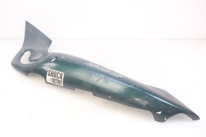 photo de FLANC ARRIERE GAUCHE TRIUMPH SPRINT ST 955 (1999 - 2001)