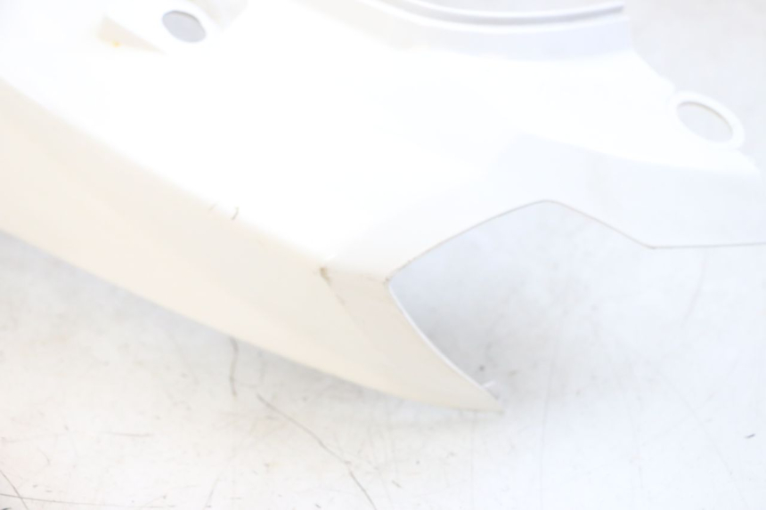 photo de FLANC ARRIERE GAUCHE PEUGEOT TWEET PRO EFI 4T 50 (2021 - 2022)