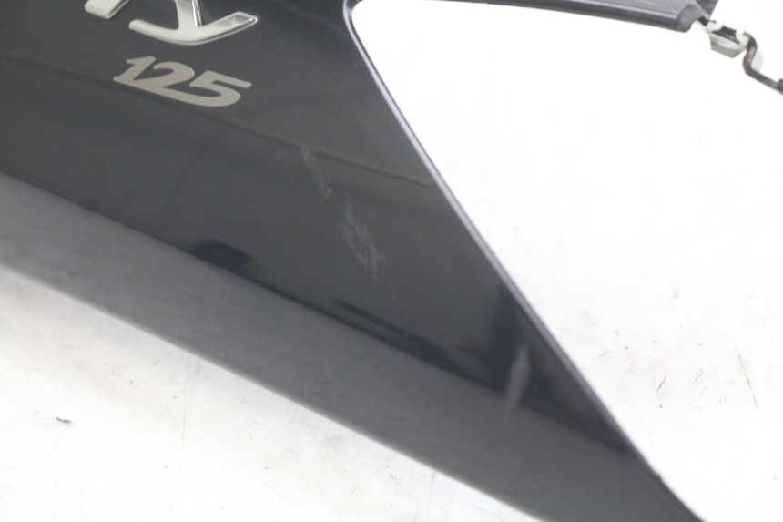 photo de FLANC ARRIERE GAUCHE YAMAHA X-CITY XCITY 125 (2007 - 2008)