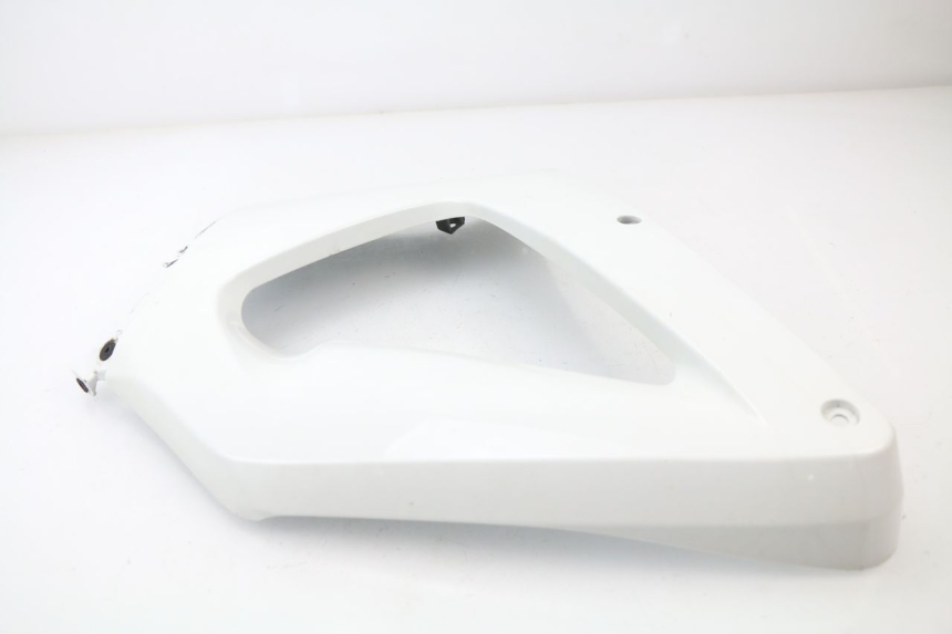 photo de FLANC LATERAL AVANT DROIT HONDA CBR 929 RR FIREBLADE 900 (2000 - 2001)