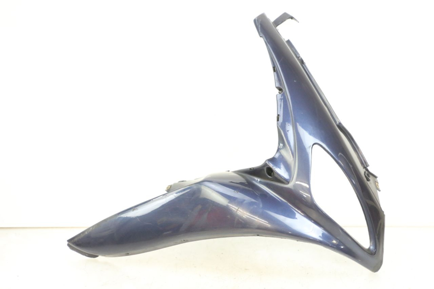 photo de FLANC LATERAL AVANT DROIT RENAULT KOURANOS 125 (2001 - 2004)