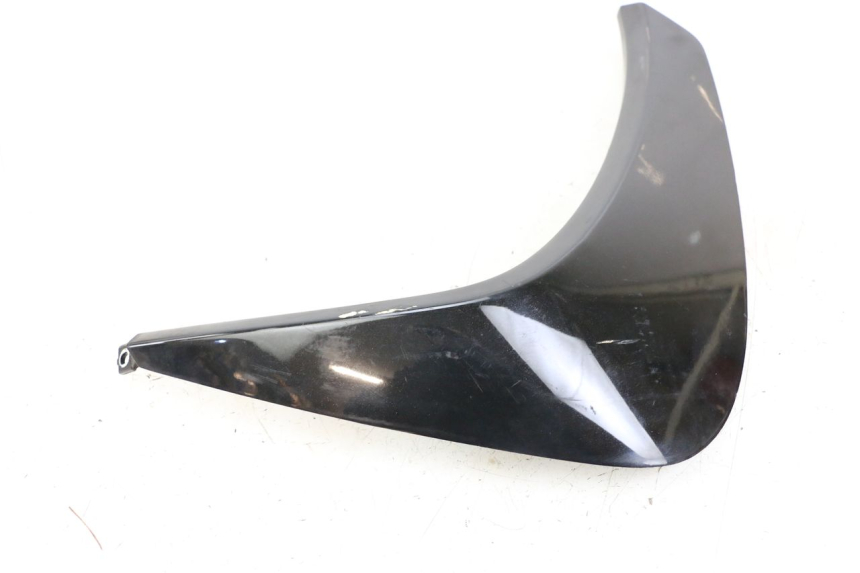 photo de Side panel front right PEUGEOT GEOPOLIS RS 125 (2007 - 2009)