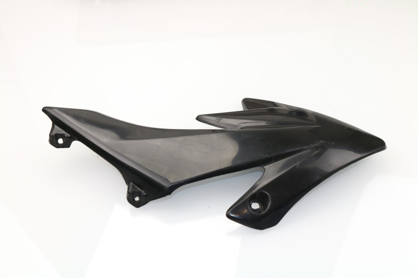 photo de FLANC LATERAL AVANT GAUCHE CRZ PIT BIKE 125 (2010 - 2018)