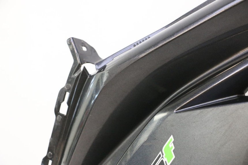 photo de FLANC LATERAL AVANT GAUCHE KAWASAKI ER-6 ER6 F ABS 650 (2012 - 2016) - Détail de la pièce