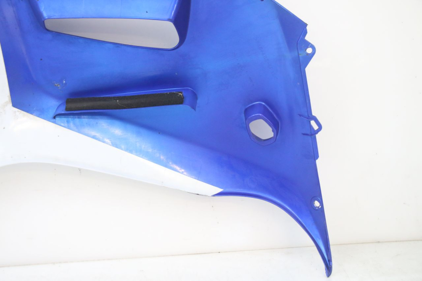 photo de FLANC LATERAL AVANT GAUCHE SUZUKI GSX F GSXF 650 (2007 - 2015) - Vue rapprochée