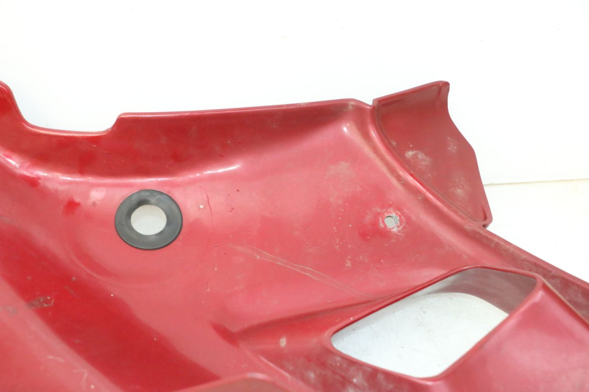 photo de FLANC LATERAL AVANT GAUCHE TRIUMPH SPRINT 900 (1995 - 1998)