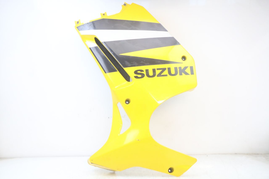 photo de FLANC LATERAL AVANT GAUCHE SUZUKI GS F 500 (2004 - 2007)