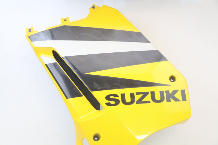 photo de FLANC LATERAL AVANT GAUCHE SUZUKI GS F 500 (2004 - 2007)