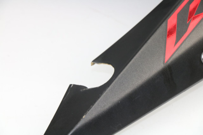 photo de FLANC LATERAL AVANT GAUCHE YAMAHA YZF R1 1000 (2002 - 2003)