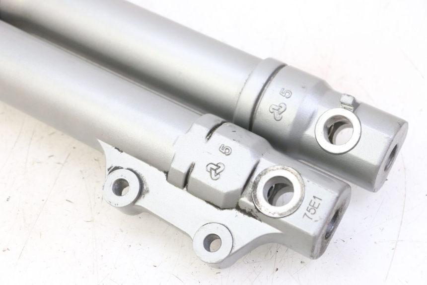 photo de FOURREAU FOURCHE PIAGGIO FLY 2T 50 (2004 - 2017)