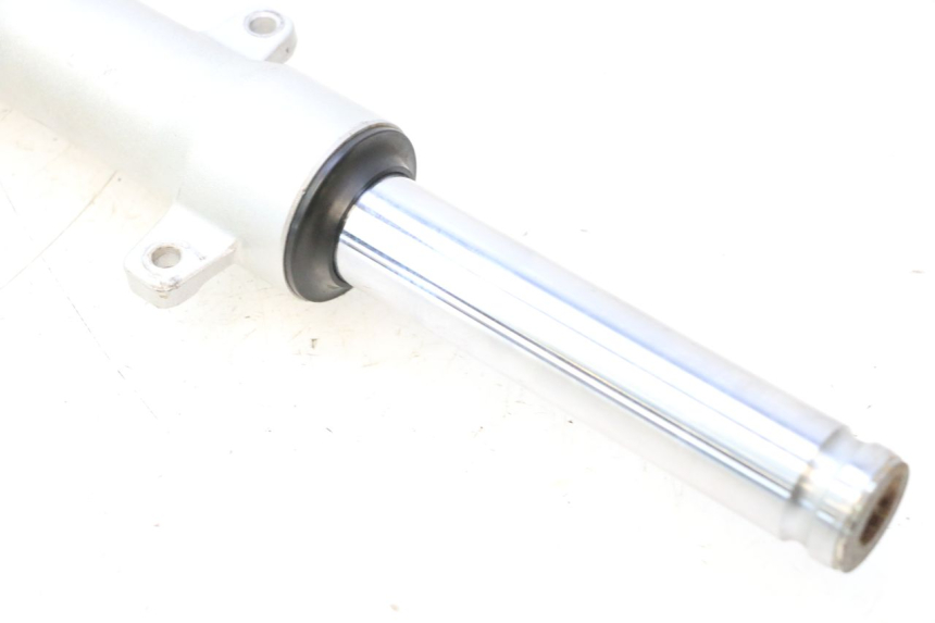 photo de FOURREAU FOURCHE GAUCHE PEUGEOT KISBEE 4T 50 (2010 - 2017) - Vue d’ensemble