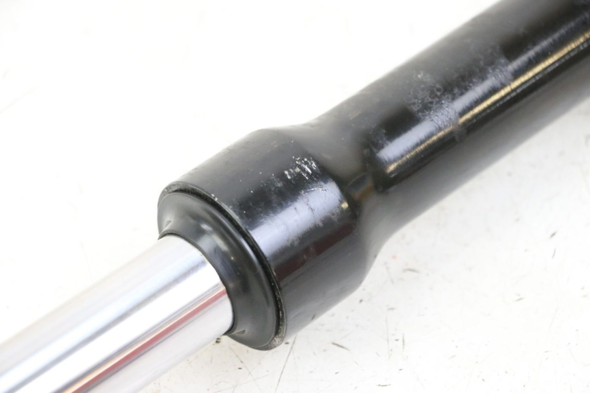 photo de FOURREAU FOURCHE GAUCHE PEUGEOT TWEET 4T 50 (2023 - 2025)
