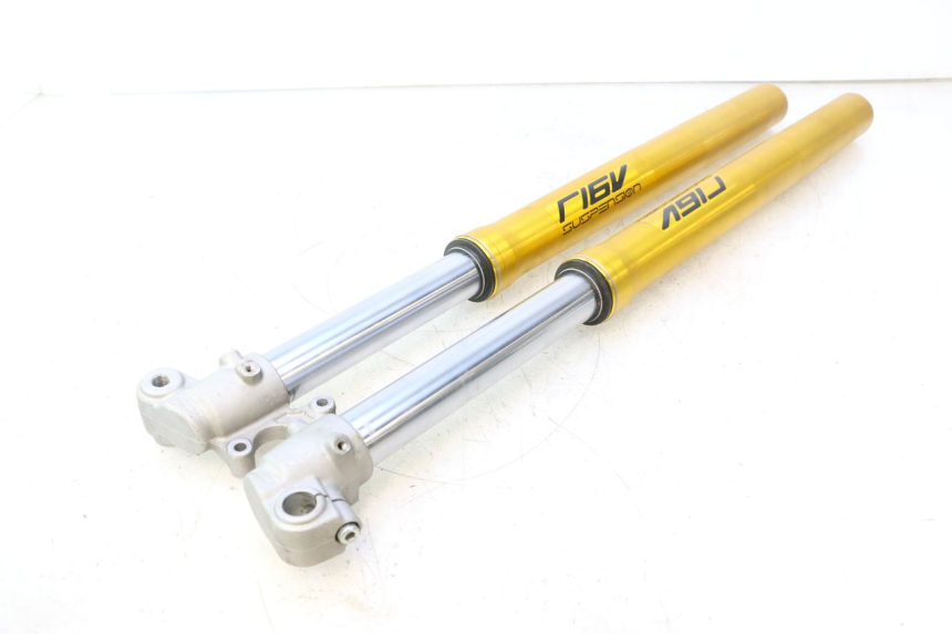 photo de FOURREAU FOURCHE RIEJU MRT PRO SUPERMOTARD 50 (2007 - 2018) - Vue principale