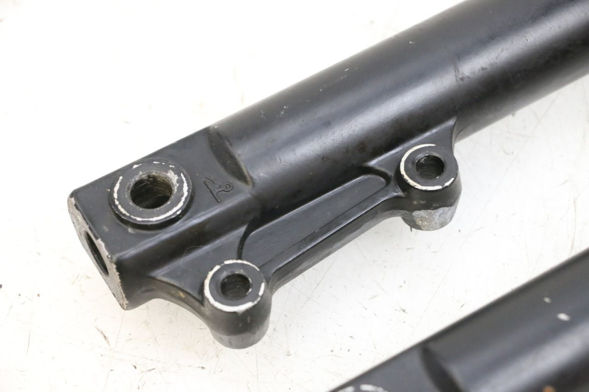 photo de FOURREAU FOURCHE JM MOTORS OLDIES GT 4T 50 (2018 - 2025) - Marquages et références