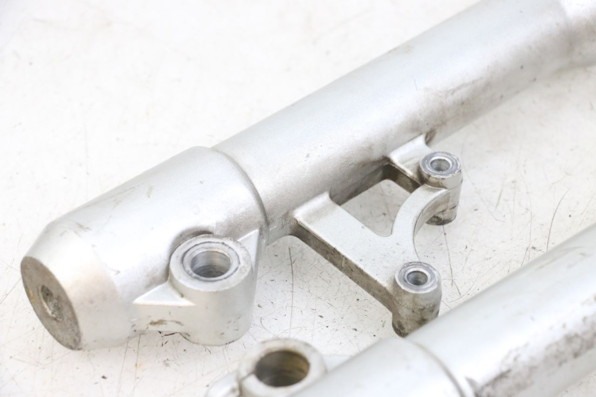 photo de FOURREAU FOURCHE PEUGEOT GEOPOLIS RS 125 (2007 - 2009)