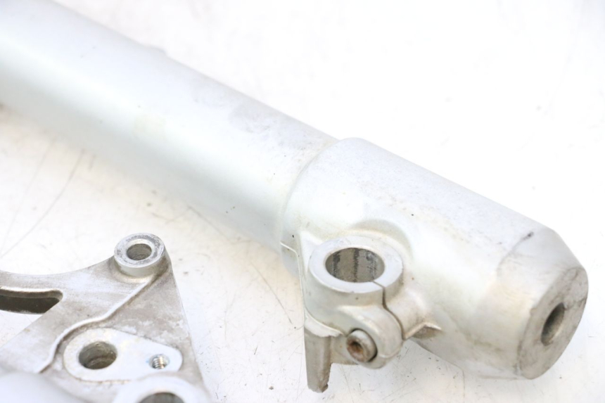 photo de FOURREAU FOURCHE PEUGEOT SATELIS 125 (2013 - 2018) - État de surface