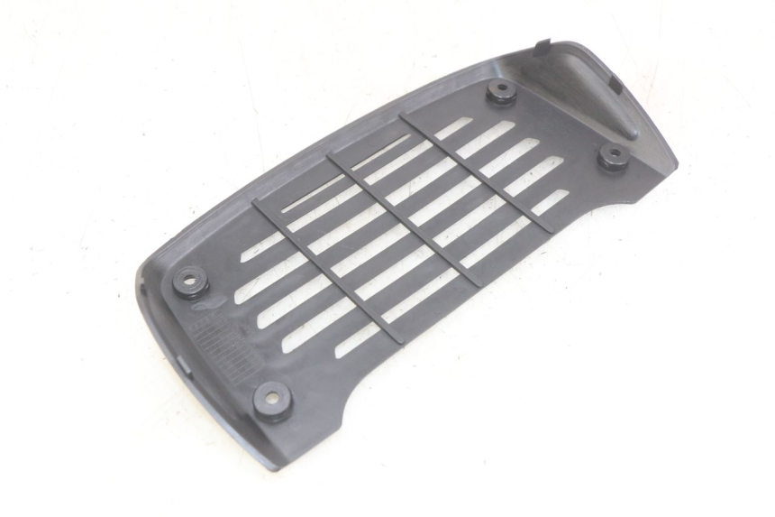photo de GRILLE RADIATEUR DAELIM VJ ROADWIN FI 125 (2008 - 2017)