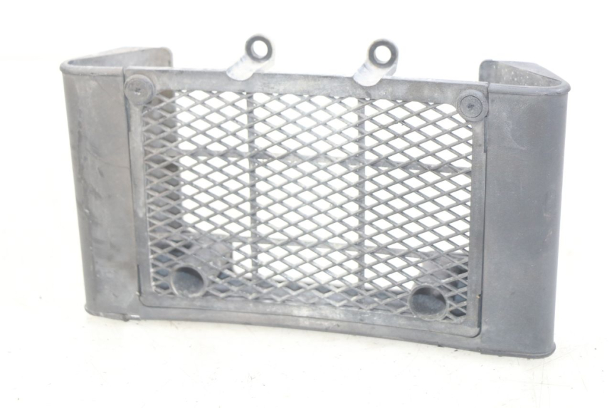photo de GRILLE RADIATEUR DAELIM VL DAYSTAR 125 (2000 - 2011)
