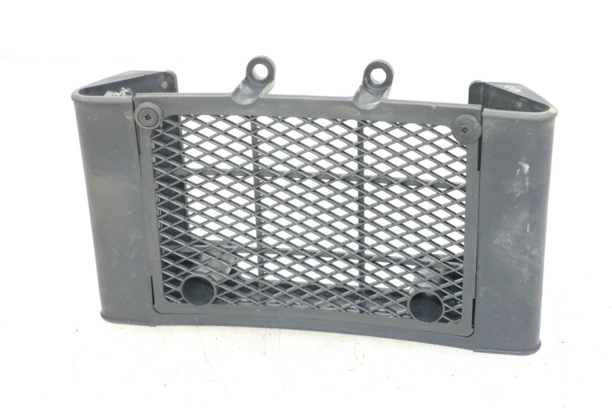 photo de GRILLE RADIATEUR DAELIM VL DAYSTAR 125 (2000 - 2011)