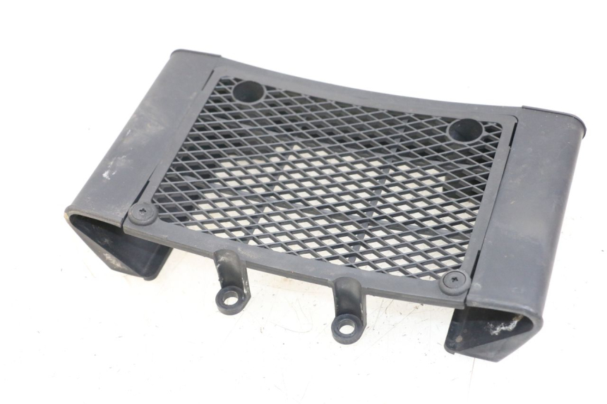 photo de GRILLE RADIATEUR DAELIM VL DAYSTAR 125 (2000 - 2011)