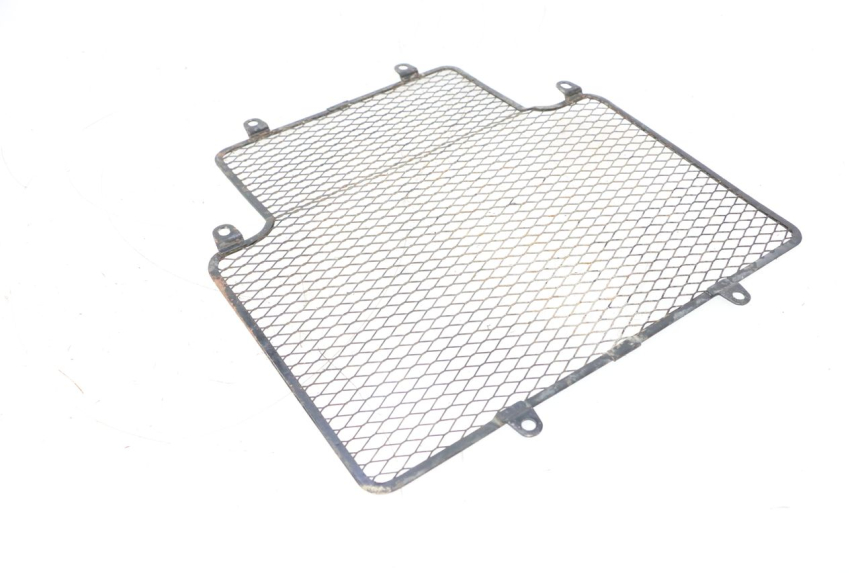 photo de GRILLE RADIATEUR KAWASAKI GPX F ZX750F 750 (1986 - 1990) - Zoom état d’usage