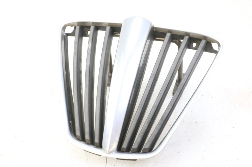 photo de GRILLE RADIATEUR PIAGGIO MP3 RL 250 (2007 - 2010)