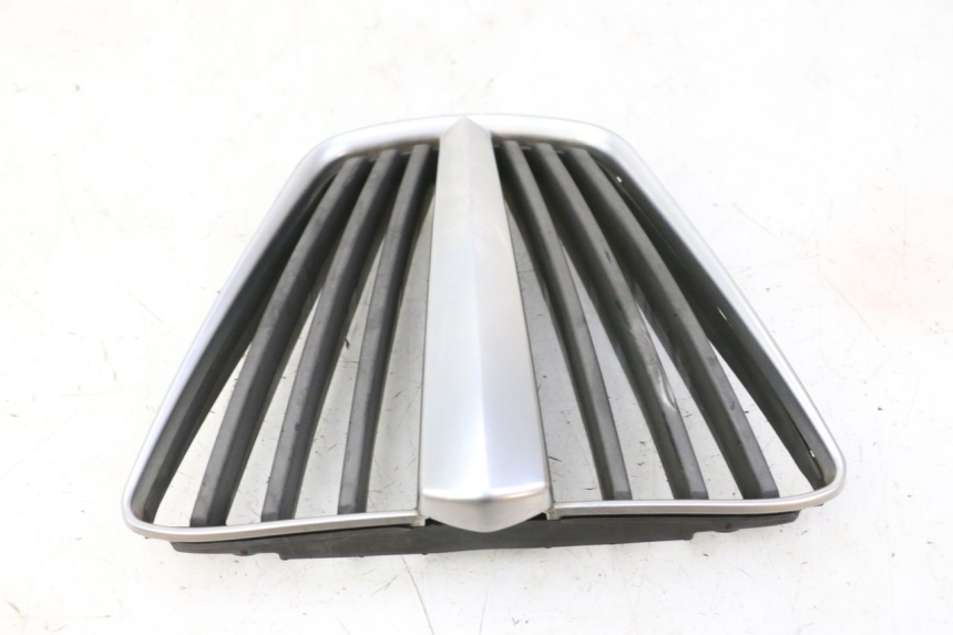 photo de GRILLE RADIATEUR PIAGGIO MP3 RL 250 (2007 - 2010)