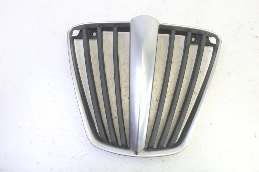 photo de GRILLE RADIATEUR PIAGGIO MP3 RL 250 (2007 - 2010) - Vue principale