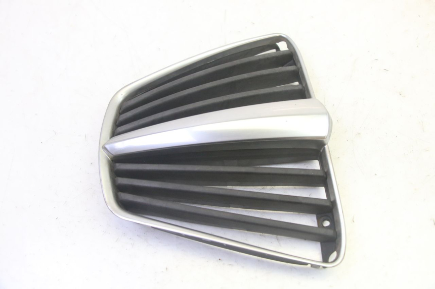photo de GRILLE RADIATEUR PIAGGIO MP3 RL 250 (2007 - 2010) - Zoom état d’usage